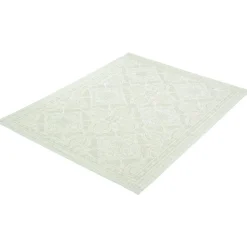 Indoor or Outdoor Rug - 7 x 10 Mint Green Best