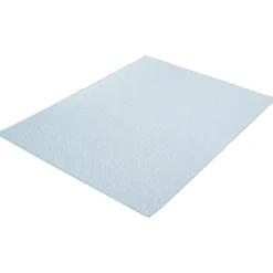 Indoor or Outdoor Rug - 5 x 7 Light Blue New