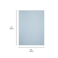 Indoor or Outdoor Rug - 5 x 7 Light Blue New