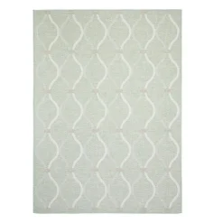 Indoor or Outdoor Rug - 5 x 7 Mint Green Hot