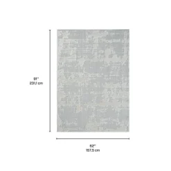 Indoor or Outdoor Rug - 5 x 8 Grey New