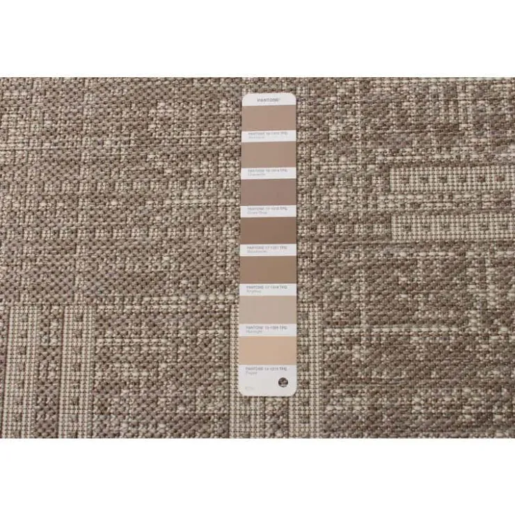 Indoor or Outdoor Rug - 4 x 6 Taupe