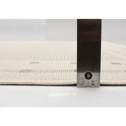 Indoor or Outdoor Rug - 4 x 6 Cream
