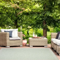 Indoor or Outdoor Rug - 5 x 7 Mint Green Discount