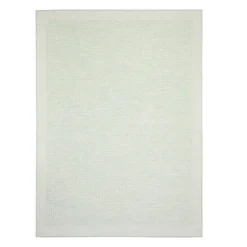 Indoor or Outdoor Rug - 5 x 7 Mint Green Discount