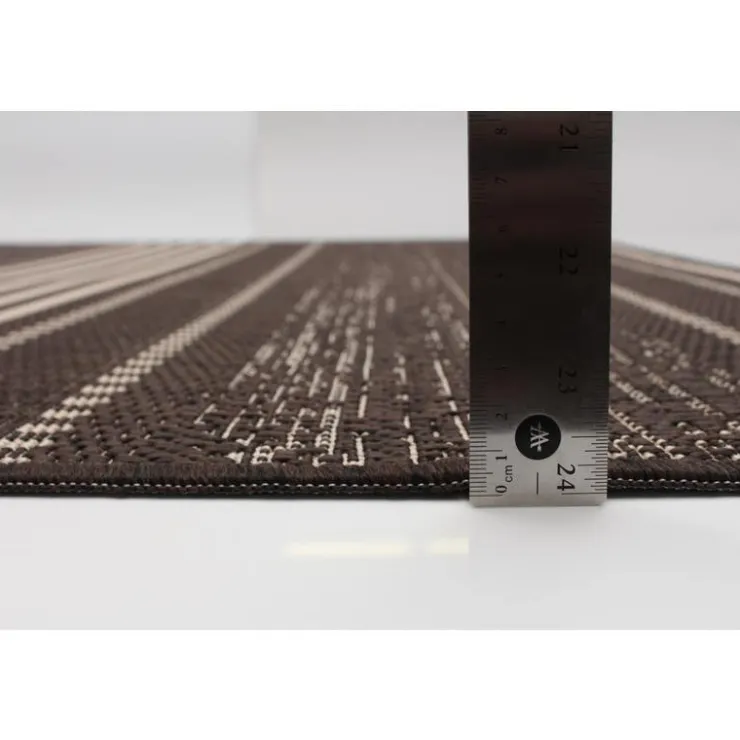 Indoor or Outdoor Rug - 4 x 6 Chocolate Hot