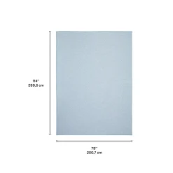 Indoor or Outdoor Rug - 7 x 10 Light Blue
