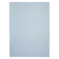 Indoor or Outdoor Rug - 7 x 10 Light Blue
