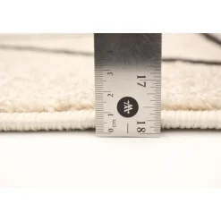 Indoor Rug - 8 x 10 Ivory/Brown