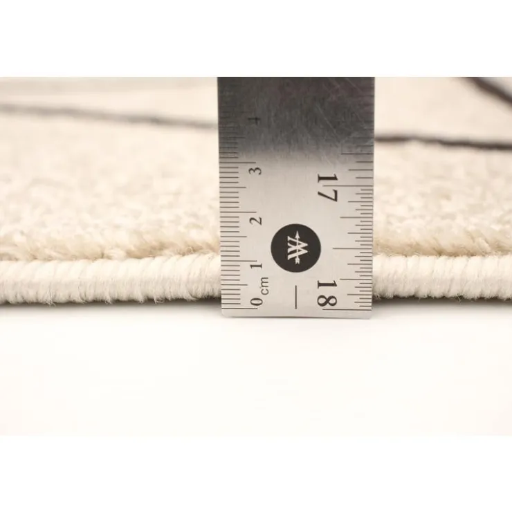 Indoor Rug - 4 x 6 Ivory/Brown New