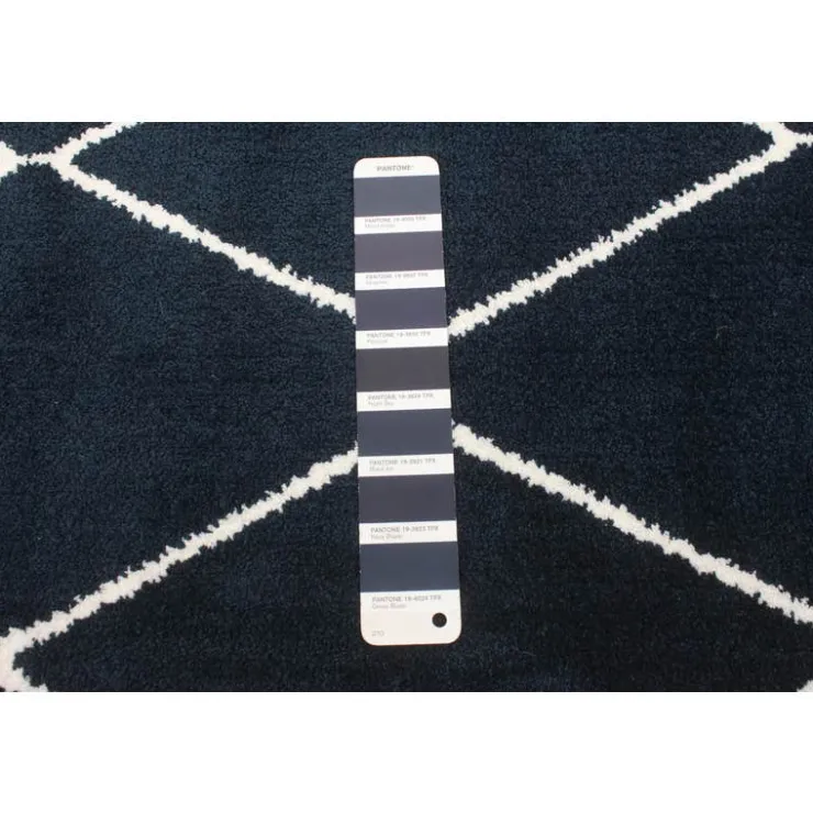 Indoor Rug - 8 x 10 Navy/White Clearance