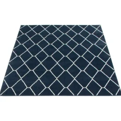 Indoor Rug - 8 x 10 Navy/White Clearance