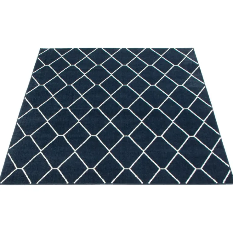 Indoor Rug - 8 x 10 Navy/White Clearance