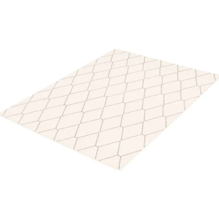 Indoor Rug - 7 x 10 White/Grey