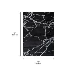 Indoor Rug - 4 x 6 Black / Silver Hot