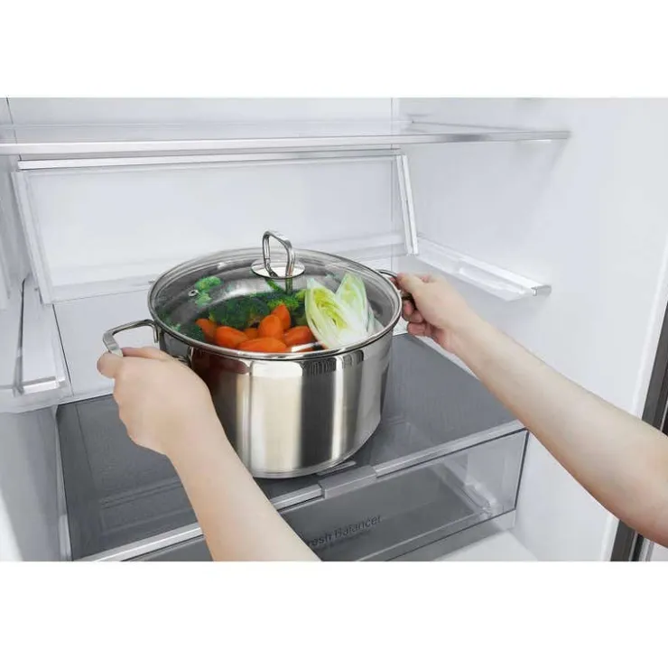 LG 28 in 15 cu ft Refrigerator Bottom Freezer - LBNC15251V Platinum Silver Online