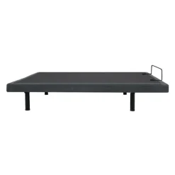 Queen Electric Bed (60
