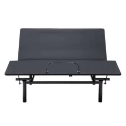 Queen Electric Bed (60