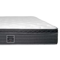 Dreamstar Queen Medium-Firm Mattress with Springs - 60