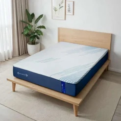 Dreamstar Queen Medium-Firm Memory Foam Mattress-in-a-Box - 60" Smooth Top Blue/White Best