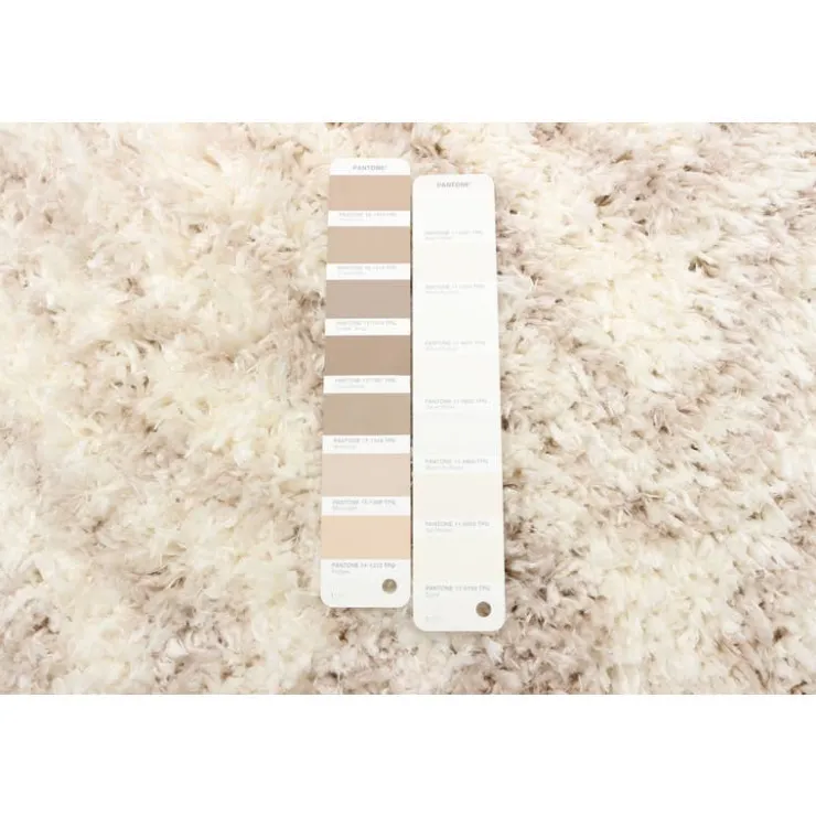 Shag Indoor Rug - 7 x 10 Ivory/Tan Discount
