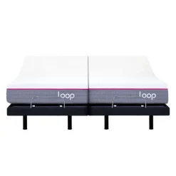Two Adjustable Beds with Two Loop Mattresses (39